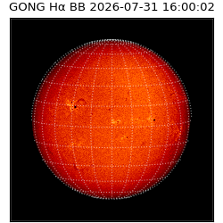 gong - 2026-07-31T16:00:02