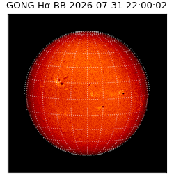 gong - 2026-07-31T22:00:02