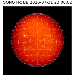 gong - 2026-07-31T23:00:02
