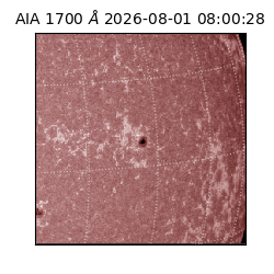 saia - 2026-08-01T08:00:28.717000