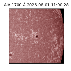 saia - 2026-08-01T11:00:28.716000