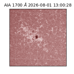 saia - 2026-08-01T13:00:28.716000