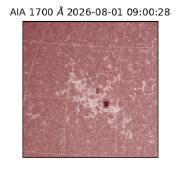 saia - 2026-08-01T09:00:28.716000