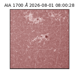 saia - 2026-08-01T08:00:28.717000