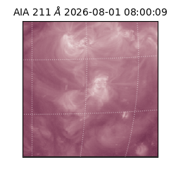 saia - 2026-08-01T08:00:09.624000