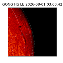 gong - 2026-08-01T03:00:42