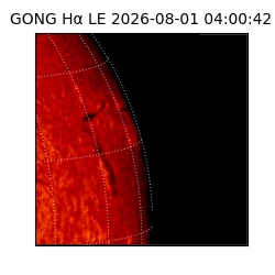 gong - 2026-08-01T04:00:42