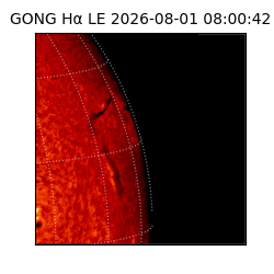 gong - 2026-08-01T08:00:42