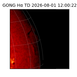 gong - 2026-08-01T12:00:22
