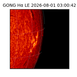 gong - 2026-08-01T03:00:42