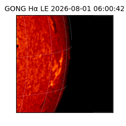 gong - 2026-08-01T06:00:42