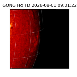 gong - 2026-08-01T09:01:22