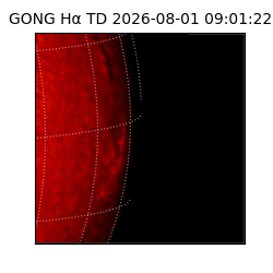 gong - 2026-08-01T09:01:22