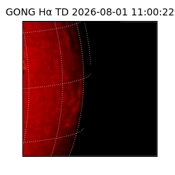 gong - 2026-08-01T11:00:22