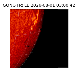 gong - 2026-08-01T03:00:42