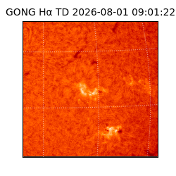 gong - 2026-08-01T09:01:22