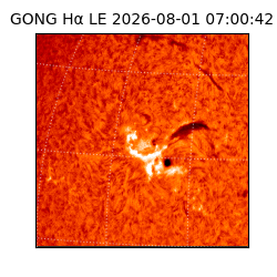 gong - 2026-08-01T07:00:42