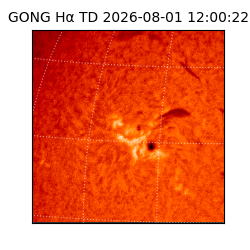 gong - 2026-08-01T12:00:22
