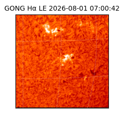 gong - 2026-08-01T07:00:42