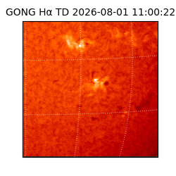 gong - 2026-08-01T11:00:22