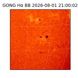 gong - 2026-08-01T21:00:02