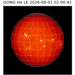 gong - 2026-08-01T02:00:42