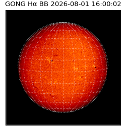 gong - 2026-08-01T16:00:02
