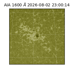 saia - 2026-08-02T23:00:14.130000