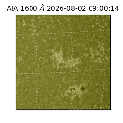 saia - 2026-08-02T09:00:14.123000