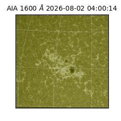 saia - 2026-08-02T04:00:14.123000