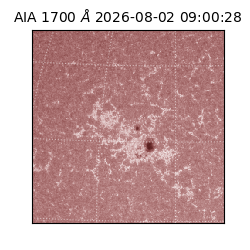 saia - 2026-08-02T09:00:28.717000
