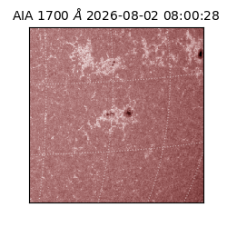 saia - 2026-08-02T08:00:28.716000