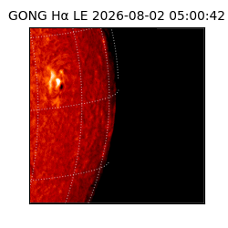 gong - 2026-08-02T05:00:42