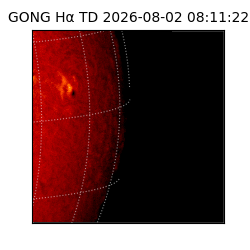 gong - 2026-08-02T08:11:22