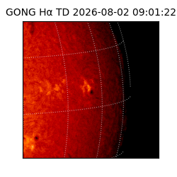 gong - 2026-08-02T09:01:22
