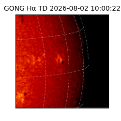 gong - 2026-08-02T10:00:22