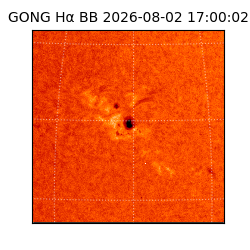 gong - 2026-08-02T17:00:02