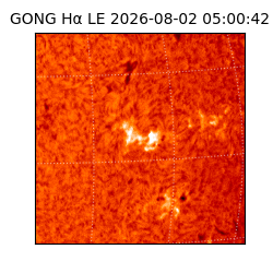 gong - 2026-08-02T05:00:42