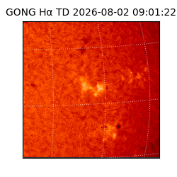 gong - 2026-08-02T09:01:22