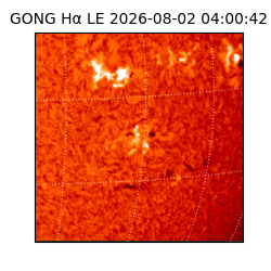 gong - 2026-08-02T04:00:42