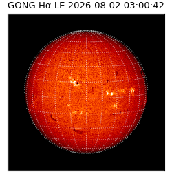 gong - 2026-08-02T03:00:42