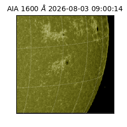 saia - 2026-08-03T09:00:14.135000
