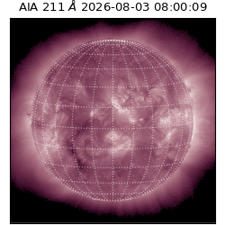 saia - 2026-08-03T08:00:09.622000