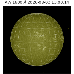 saia - 2026-08-03T13:00:14.124000