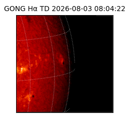 gong - 2026-08-03T08:04:22