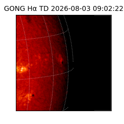 gong - 2026-08-03T09:02:22