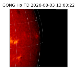 gong - 2026-08-03T13:00:22