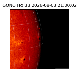 gong - 2026-08-03T21:00:02