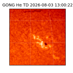 gong - 2026-08-03T13:00:22