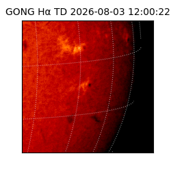 gong - 2026-08-03T12:00:22